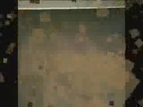 Carpet Cleaners Chandler AZ (Carpet Cleaning) 602-499-3359