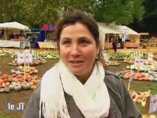 La java des courges à Saint-Rémy-la-Varenne