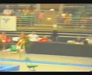 Gymnastisc - 2004 JPAC - Guo Weiyang Vault