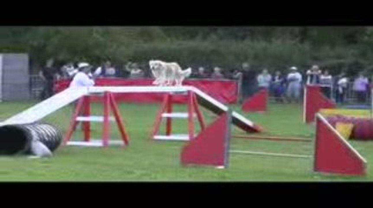 Salsa GPF Agility St Just St Rambert 11/10/2009