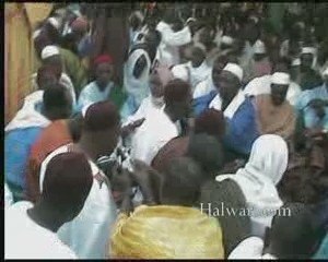 Thierno Aliou Thiam (Clôture Bourde mars 2009) V3