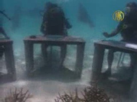 Réunion sous-marine aux îles Maldives