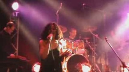 Experience 100% Live Zen 🌿