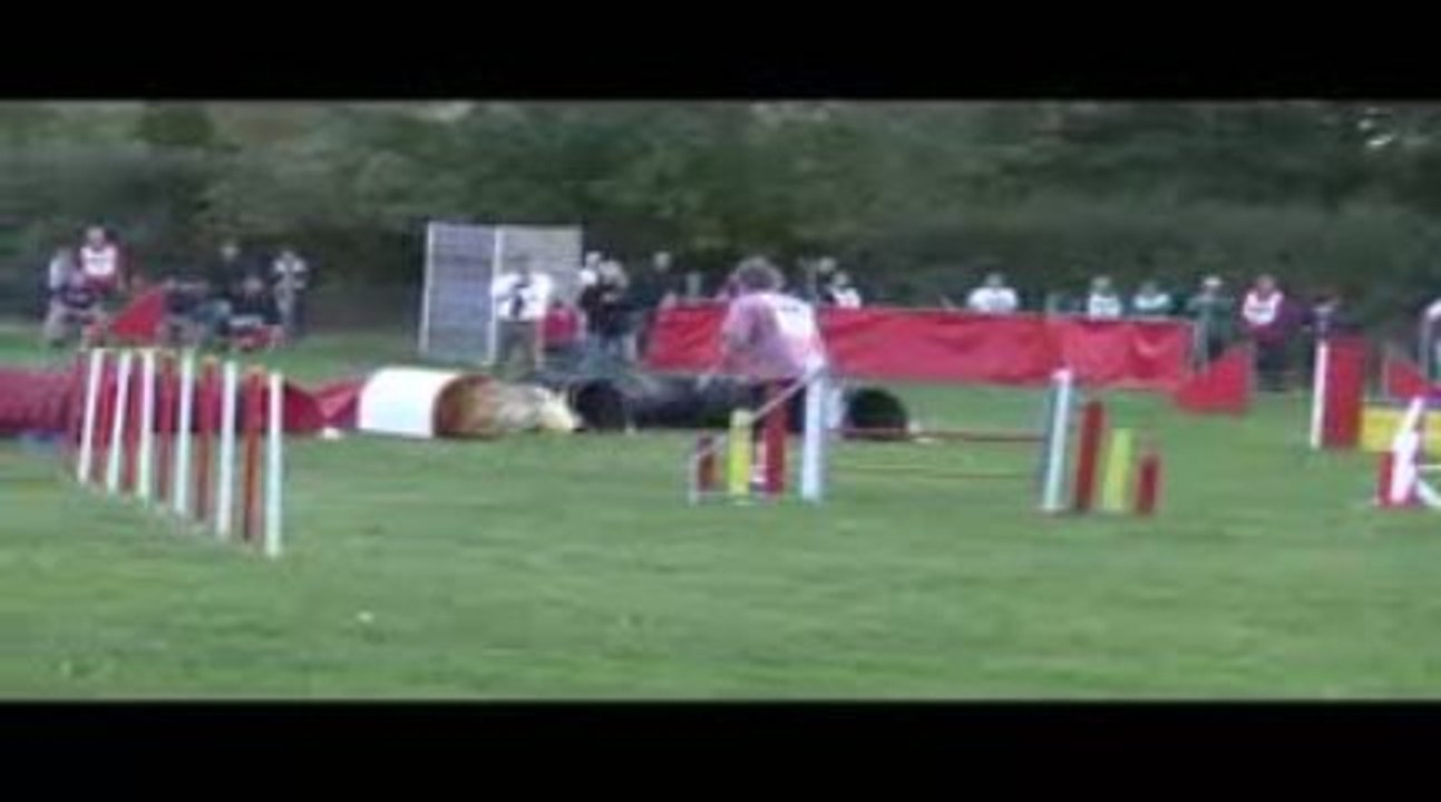 Salsa Jumping Agility St Just St Rambert 11/10/2009
