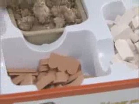 bitenekadar.com : 3D Kız Kulesi Maketi (3Boyutlu Puzzle)