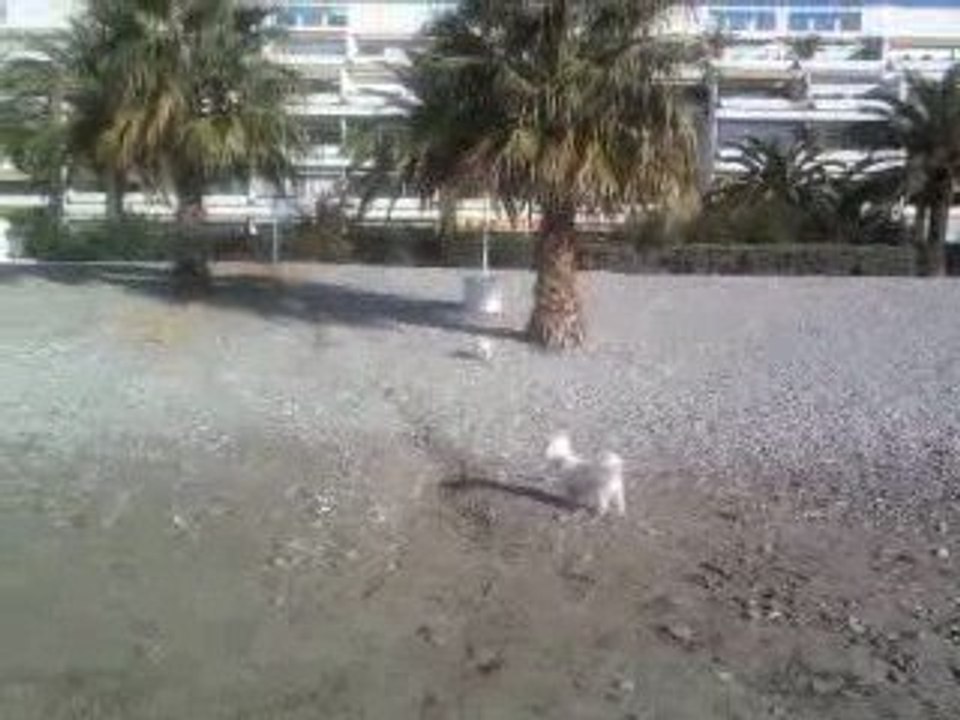 A la plage