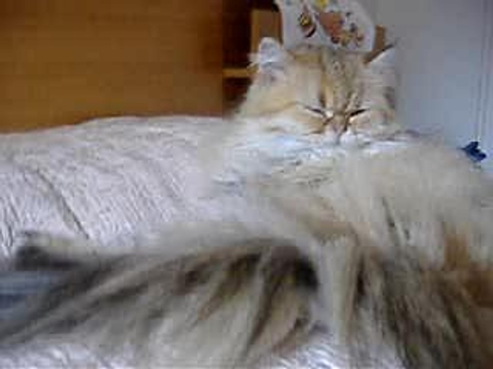 Leo.23.juin.2006