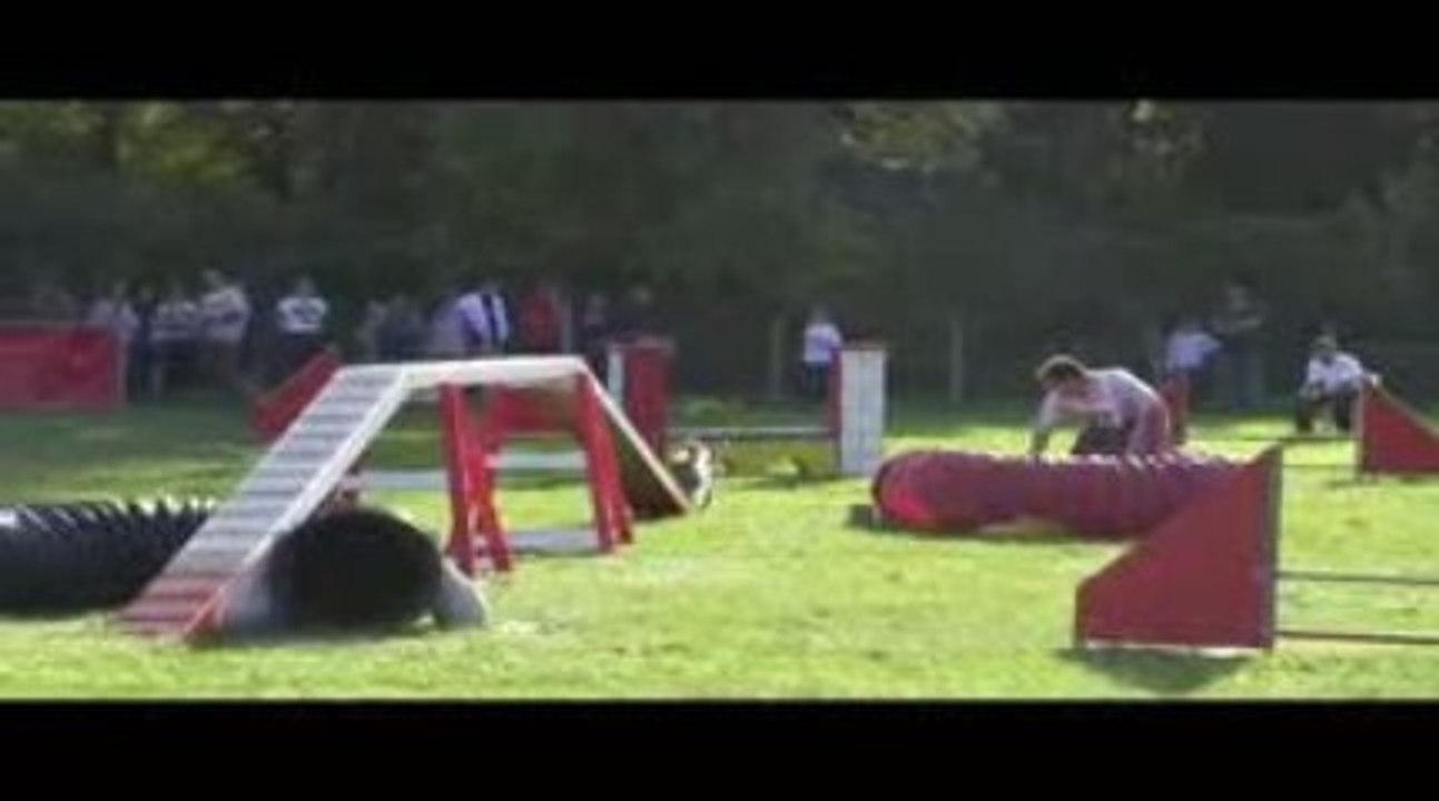 Blueberry GPF Agility St Just St Rambert 11/10/2009