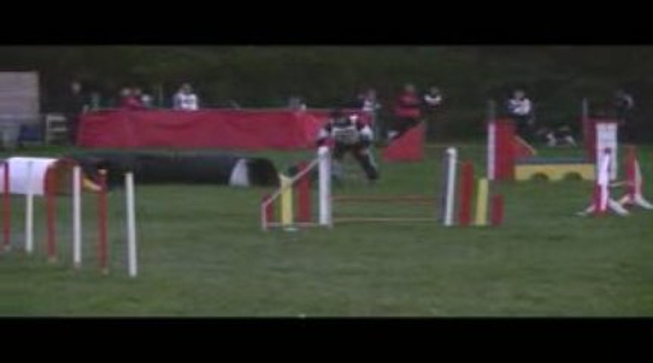 Blueberry Jumping Agility St Just St Rambert 11/10/2009