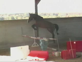 Red Hot saut liberté fin octobre