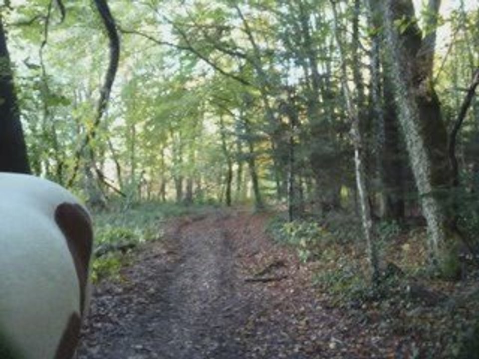 balade du cimetière à pied samedi 24 octobre_0001