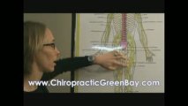 Green Bay Chiropractors Sciatica