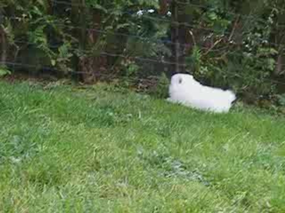 Eiyu et Eva des Légendes de Yuki Onna