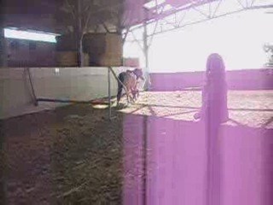 Chute =='