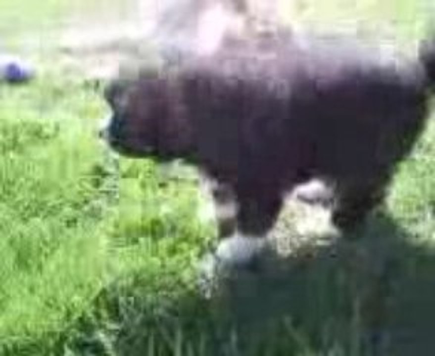 Eiko_4 semaines_joue