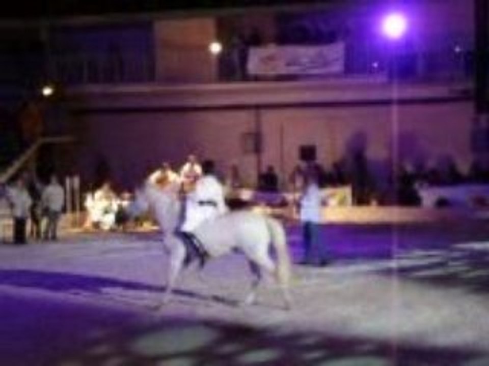 Jean-François Pignon salon Equi champ' 2009 Partie 2