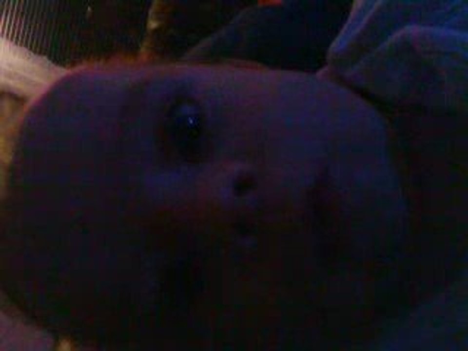 Ahhhoouu =)