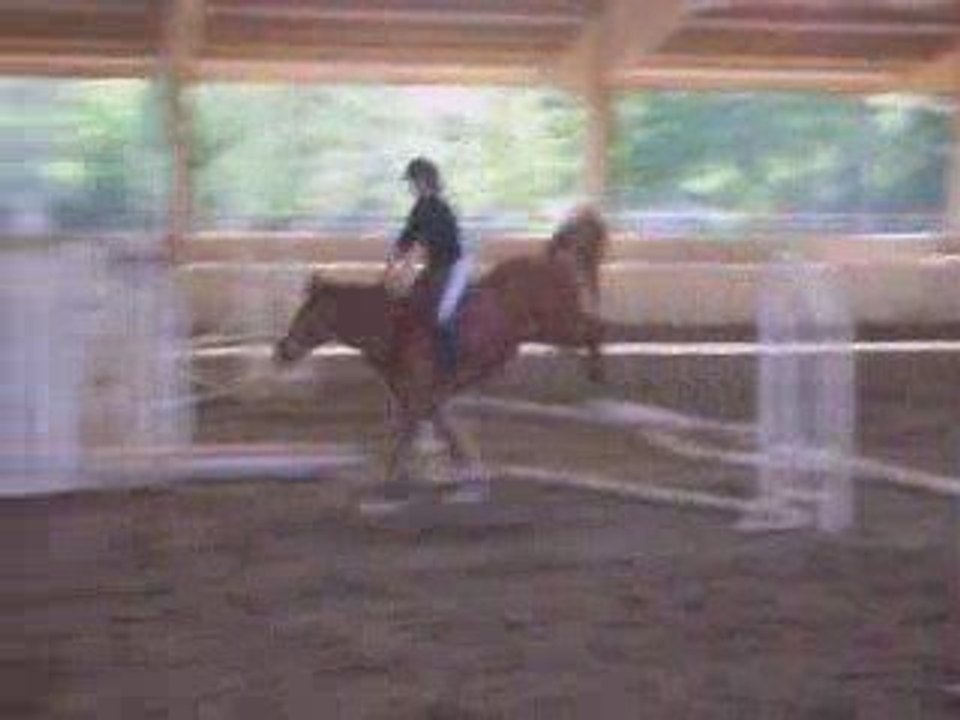 Astrid & Nuts - Obstacle à Anadé