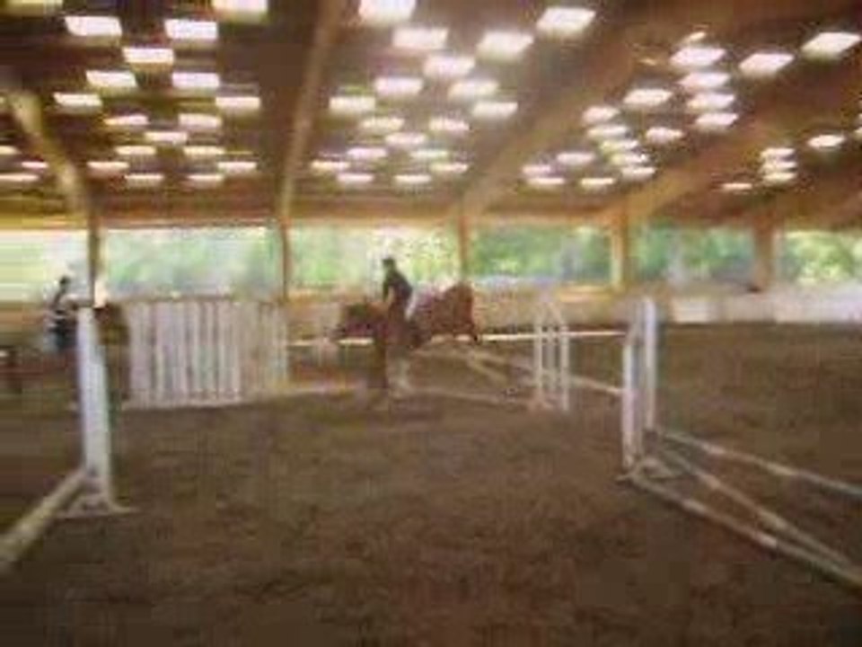 Astrid & Nuts - Obstacle à Anadé