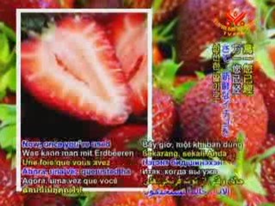 Summertime Fun with Strawberries
