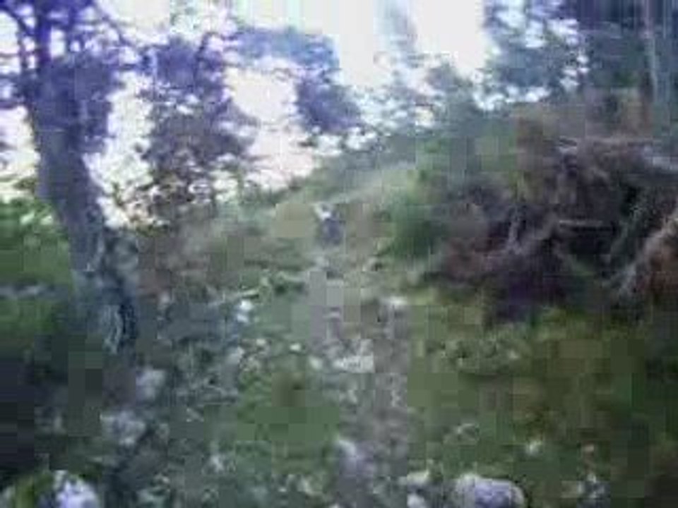 mont vial dydougazzz.ptito