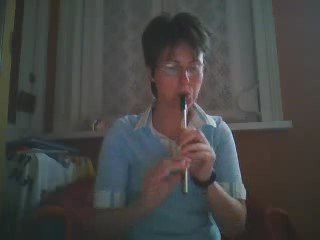 The boys of Bluehill (irish tin whistle)