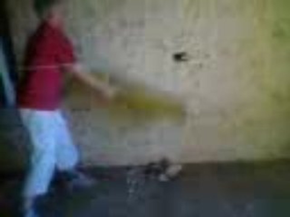 Vidéo0004