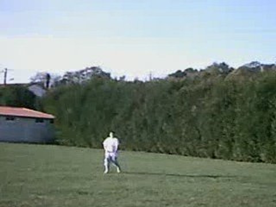 magnifique but de dodo