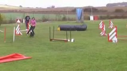 Agility2-1-élim saut