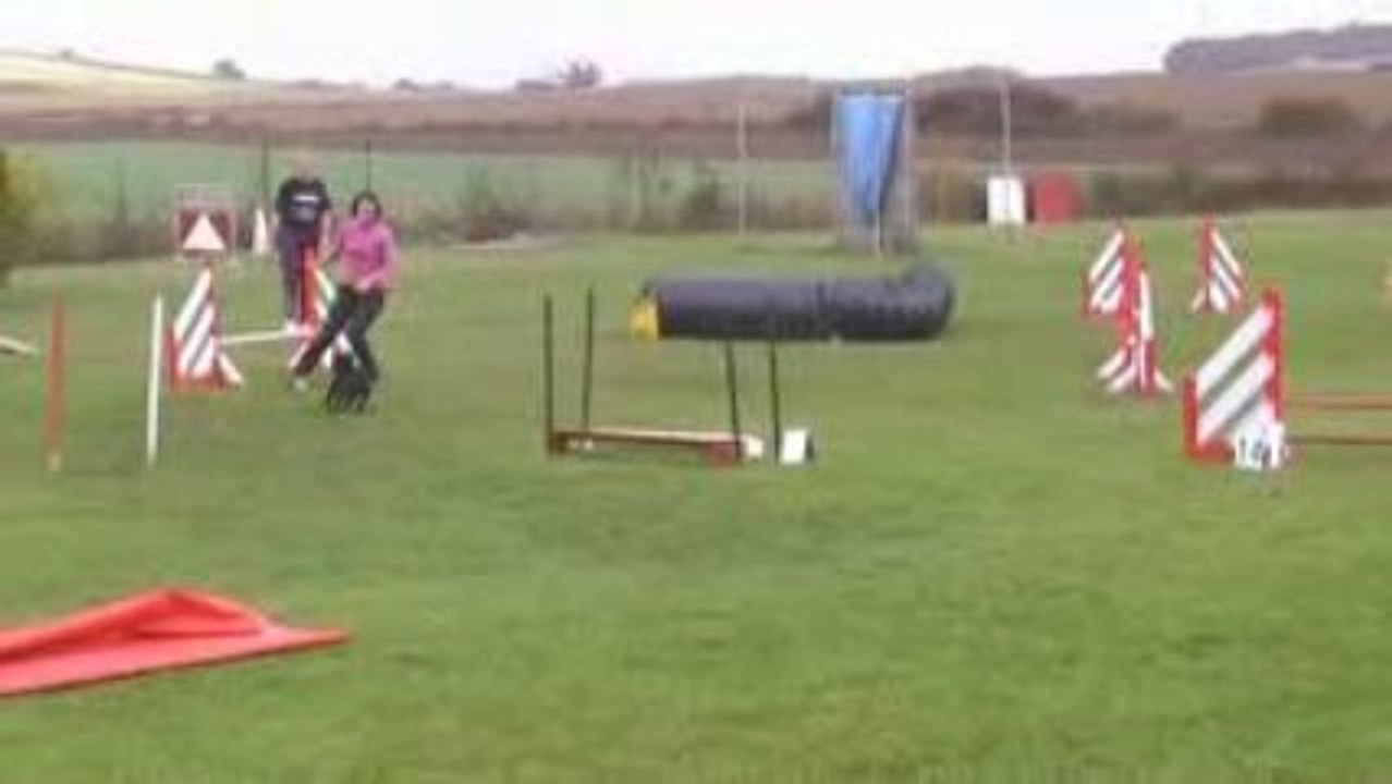Agility2-1-élim saut