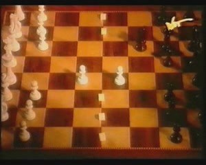 Ciąża jako konflikt matki i płodu (2)