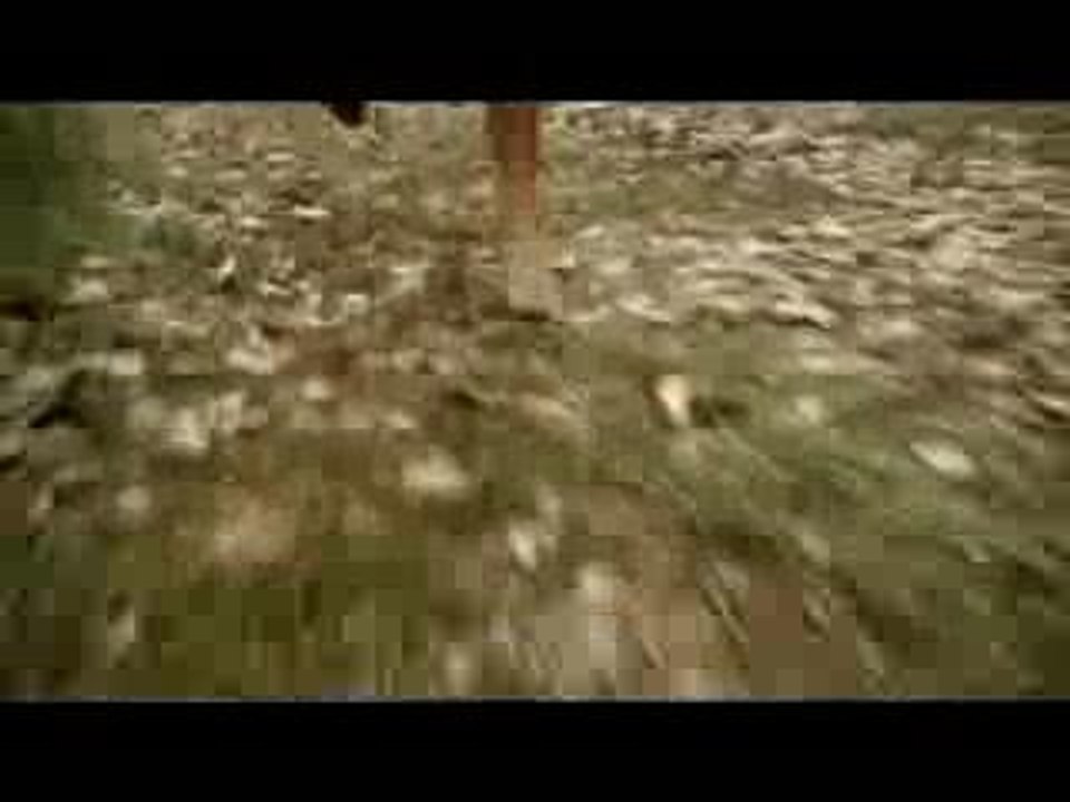 Lynx (Axe) - Billions