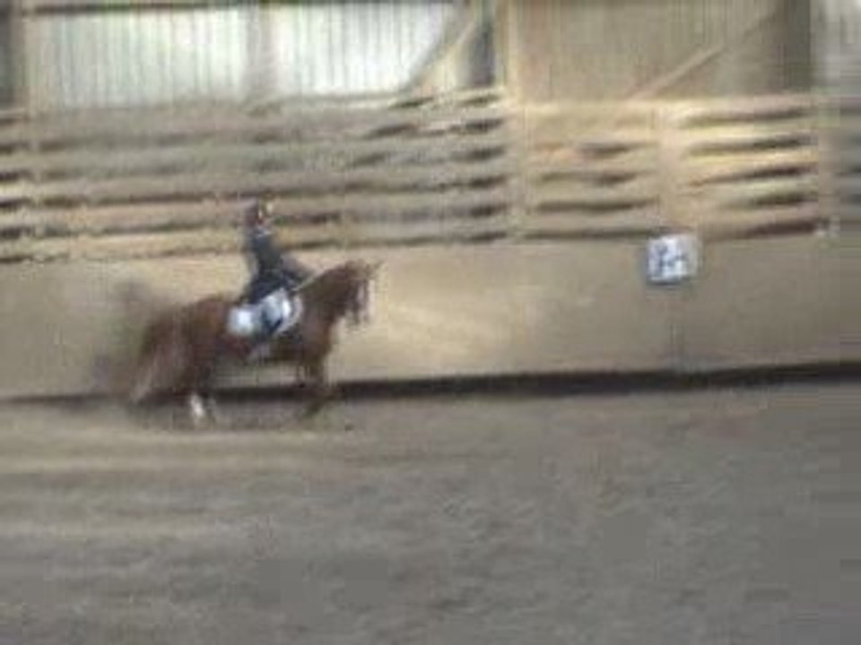 Dressage avec le poney le 25/10/09