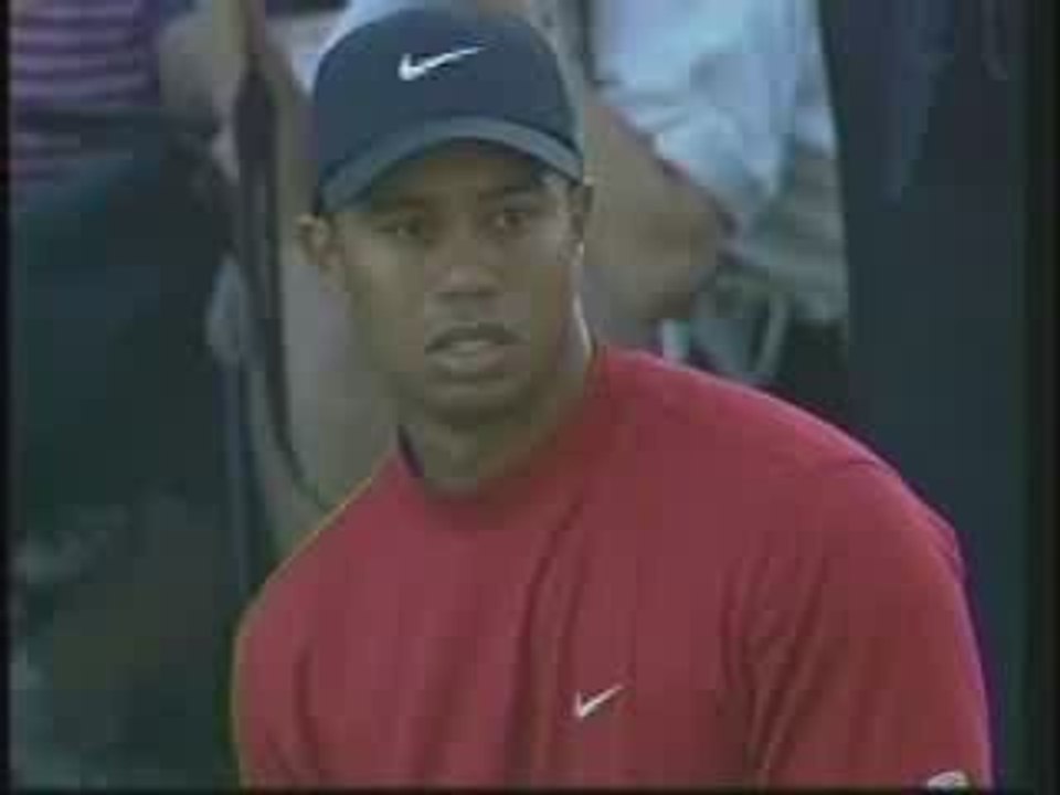 TagTélé - Tiger Woods - Chip incroyable