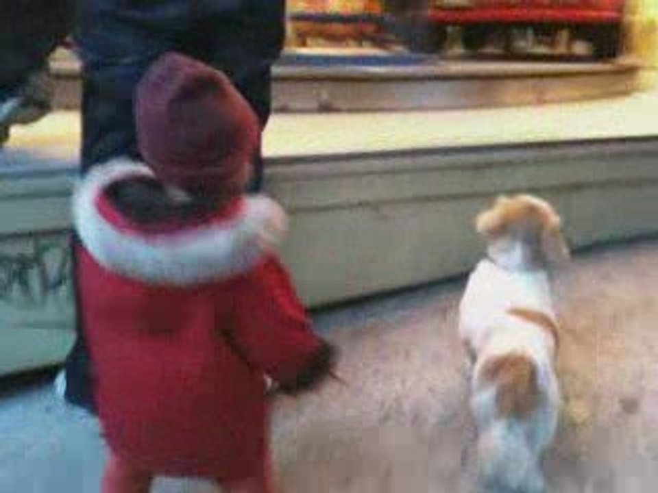 NAO CHAN ET LE PETIT CHIEN PRES DU MANEGE