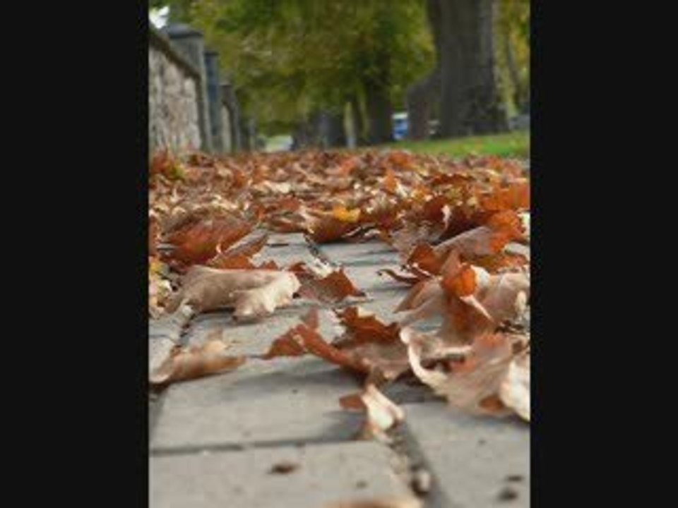 HARPUTLU CEBRAİL-AH BU ÖLÜM-HACILAR PRODUKSİYON 2009