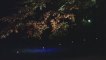ORANGERIE BY NIGHT • ASSISES DU PAYSAGE (STRASBOURG)