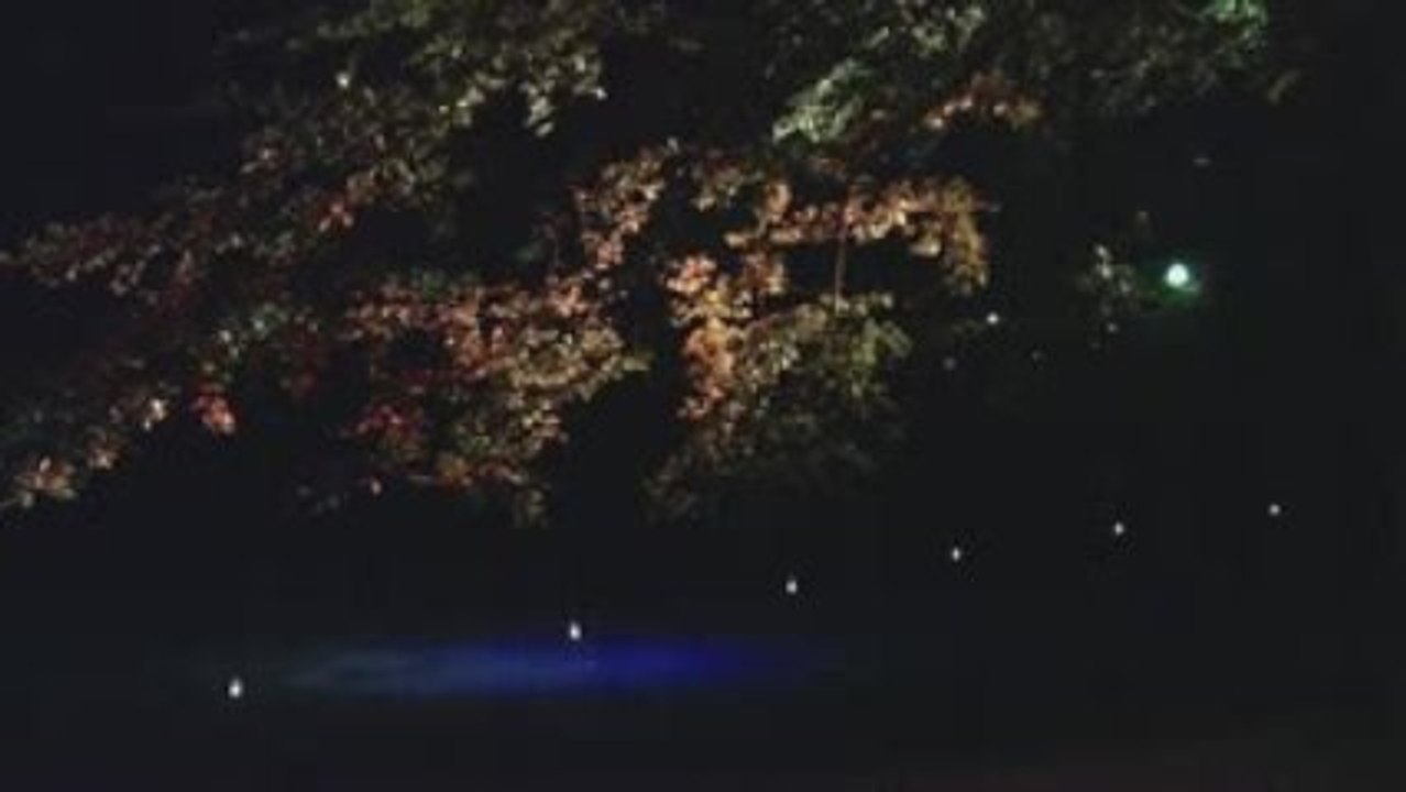 ORANGERIE BY NIGHT • ASSISES DU PAYSAGE (STRASBOURG)