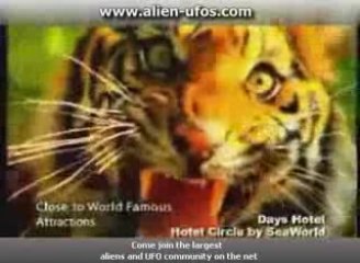 days inn hotel circle by seaworld video tour