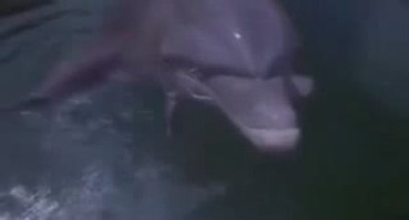 Planète Terre - Le Secret