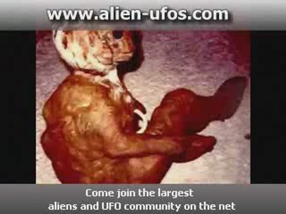 foreigner creature