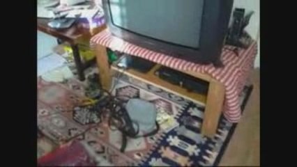 Visite guidée de la maison (2009)