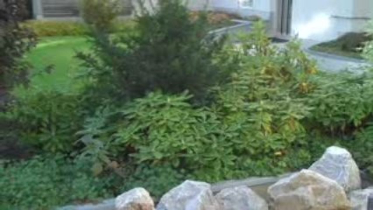 Gizmodo test-video flip mino hd