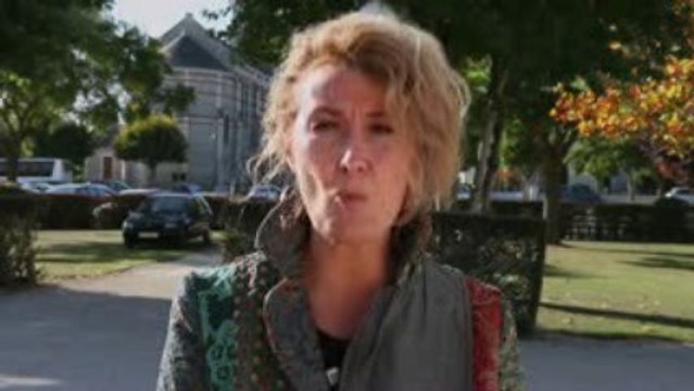 Sophie BRIARD AUCONIE, Députée européenne