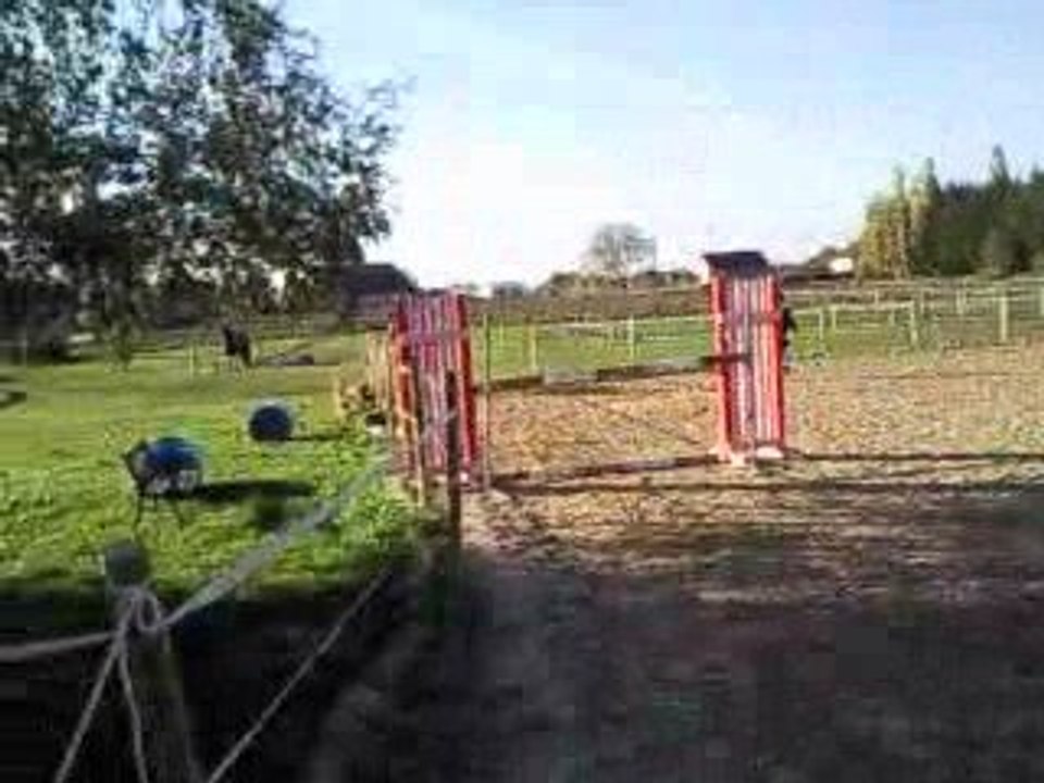Vidéo0018