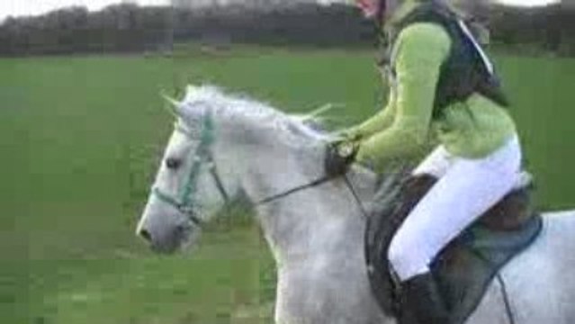 CCE Cross / Margot - Milton