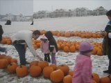 Evanston Real Estate, Calgary AB The Great Pumpkin Give-Away