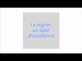 A. Le Vern : Régionales 2010 La Région un label d'excellence