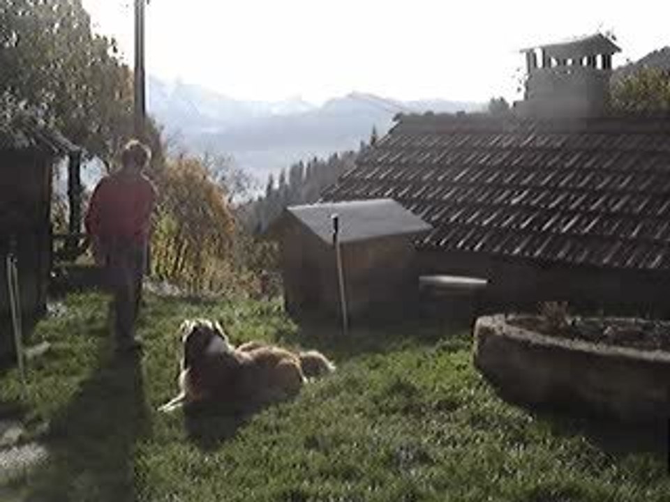 obérythmée  saute mouton