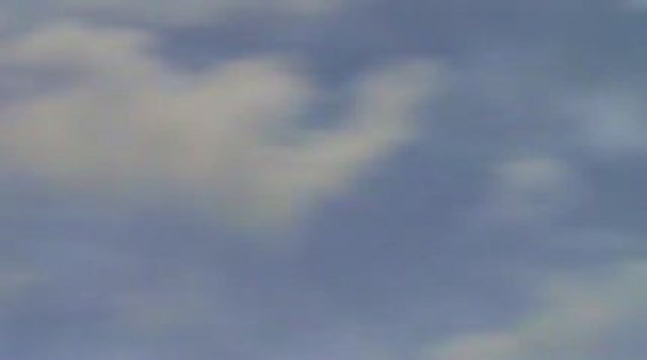 T-Rex 450 Pro 25 Octobre 09